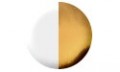 Farbe: bicolor: weiß | gold glänzend | (013)