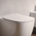 WC-Sitz Faster Slim | mit Absenkautomatik
