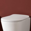 WC-Sitz Serie Eva | mit Quick Release | mit Absenkautomatik