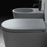 WC-Sitz Serie DP | grau matt