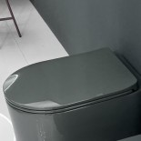 WC-Sitz Serie Delano | lago glänzend
